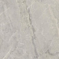 Little Rocks Grey Mat 59,8x59,8