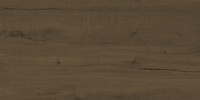 Suomi Brown Rett 60x120x2
