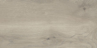Taiga SGR2591 Grey 30x60