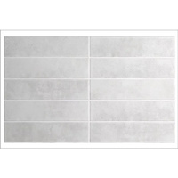 Argile Ice 6x24,6