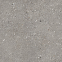 SGR1982 Kronos Graph Ret 60x60x2