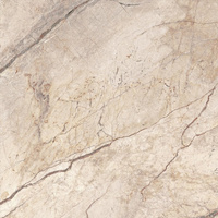 SGR2061 Skyfall Beige Bis Rett 60x60