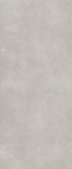 Architeq Light Grey Mat 119,8x279,8