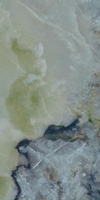 Invisible Green Poler 59,8x119,8