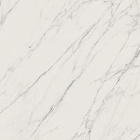 Elite White Poler 59,8x59,8
