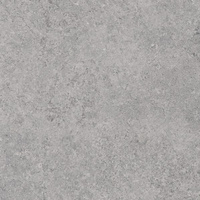 Zimba Light Grey Struktura 119,8x119,8