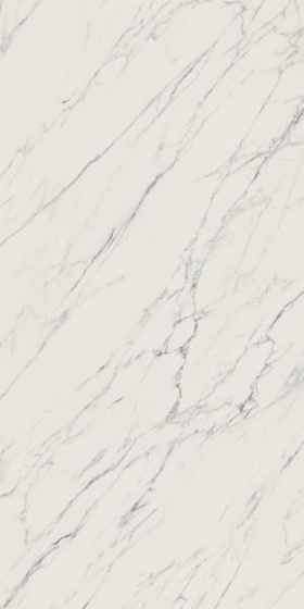 Elite White Mat 59,8x119,8