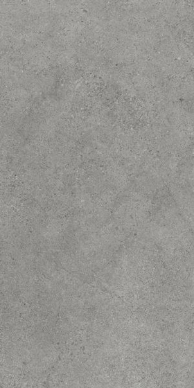 Authority Grey Mat 59,8x119,8