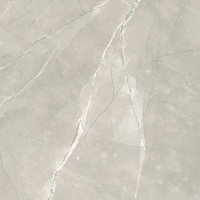 Rittrim Light Grey Mat 59,8x59,8