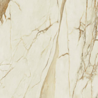 Warm Wind Gold Poler 119,8x119,8