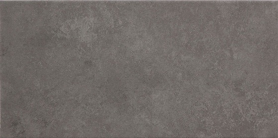 Zirconium Grey 22,3x44,8