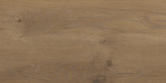 Taiga Brown SGR2572 30x60