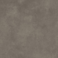 Architeq Brown Mat 119,8x119,8