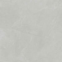 SGR2681 Bstone Soft Grey Sug Rett 60x60
