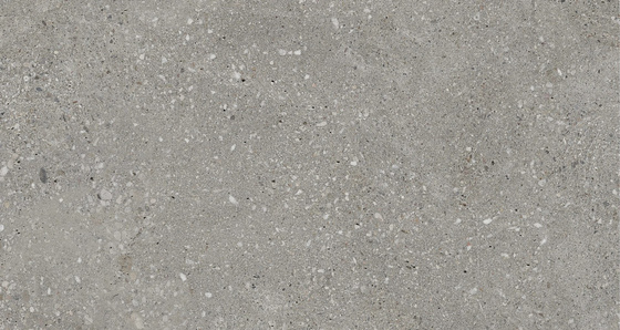 SGR2102 Kronos Voyager Graphite 30x60