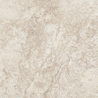 Pure Stone 59,8x59,8