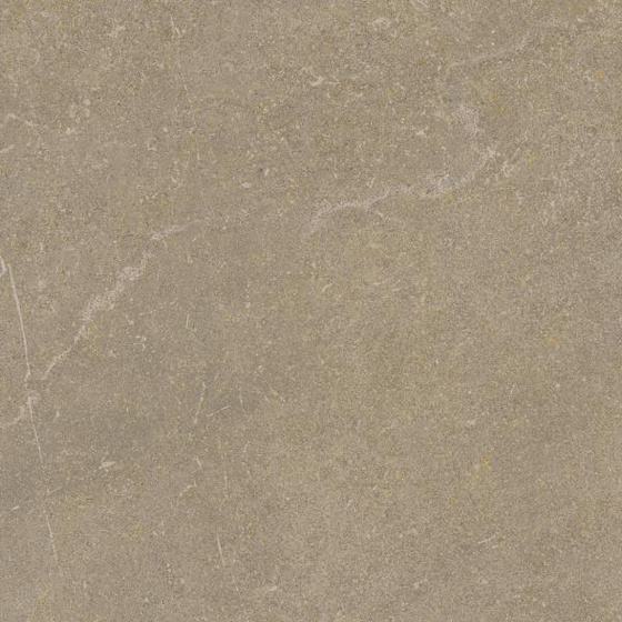 Płyta Tarasowa Ingastone Brown 20 mm Mat 59,5x59,5