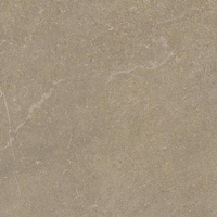Płyta Tarasowa Ingastone Brown 20 mm Mat 59,5x59,5