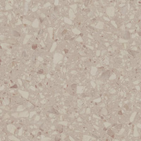Terazzo Beige Mat 59,8x59,8