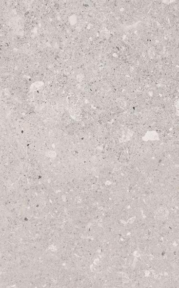 Gemano Light Grey Mat 25x40
