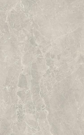Gemastone Grey Połysk 25x40
