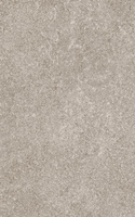 Ingastone Light Grey Połysk 25x40