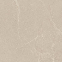 U118 Beige Półpoler 59,8x59,8