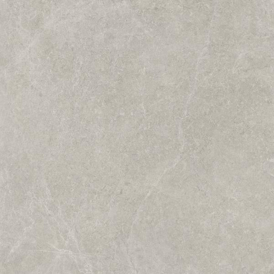 U118 Light Grey Mat 59,8x59,8