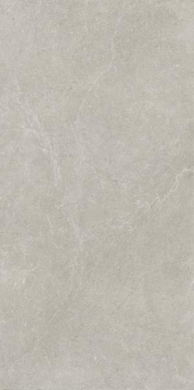 U118 Light Grey Mat 59,8x119,8
