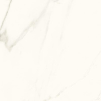 Calacatta Poler 120x120