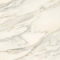 Horizon Gold Poler 119,8x119,8