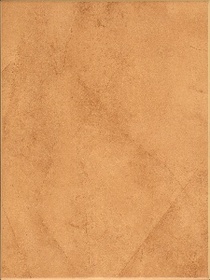 Palermo Orange 25x40