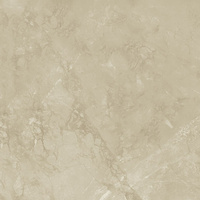 SGR2842 Magnolia Beige Rett 60x60