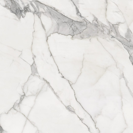 Calacatta White Satyna 119,7x119,7x0,8