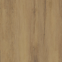 SGR3231 Alterwood Sabbia 60x60x2