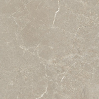 SGR3201 Aston Rett 60x60x2
