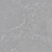 SGR3211 Aston Grey Rett 60x60x2