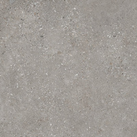 SGR2021 Voyager Antracite Town 60x60
