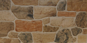 Assisi Beige 31x62