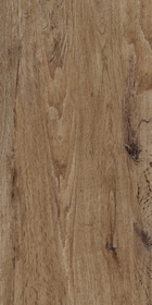 Siena Marrone 31x62
