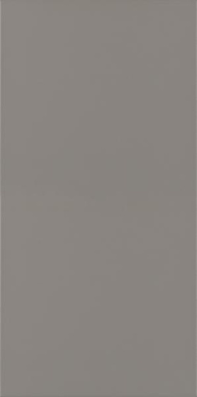 Bazo Grys Monokolor 29,8x59,8