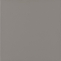 Bazo Grys Monokolor 59,8x59,8