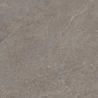 Reystone Grey Mat 59,8x59,8