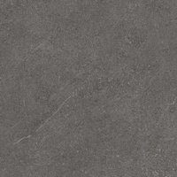 Reystone Graphite Mat 59,8x59,8