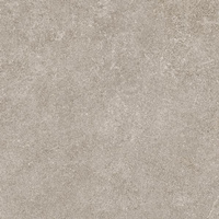 Reystone Light Grey Mat 59,8x59,8