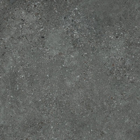 SGR2031 Voyager Graphite Town 60x60