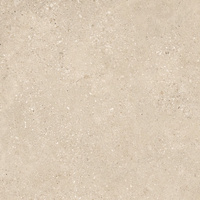 SGR2011 Voyager Taupe Town 60x60