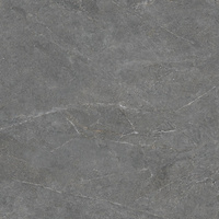 Distinct Grey Silky Cristal 59,7x59,7x0,8