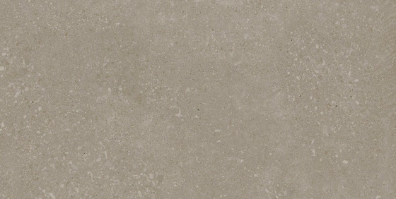 SGR2081 Voyager Taupe Town 30x60