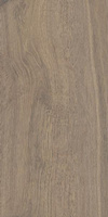 Tarusa Brown Struktura Mat 29,8x59,8